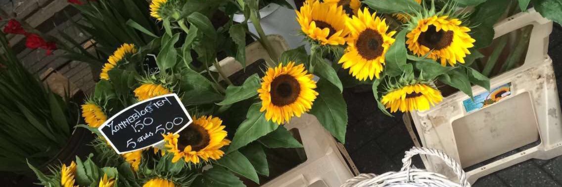 olga_ma22's profile banner image