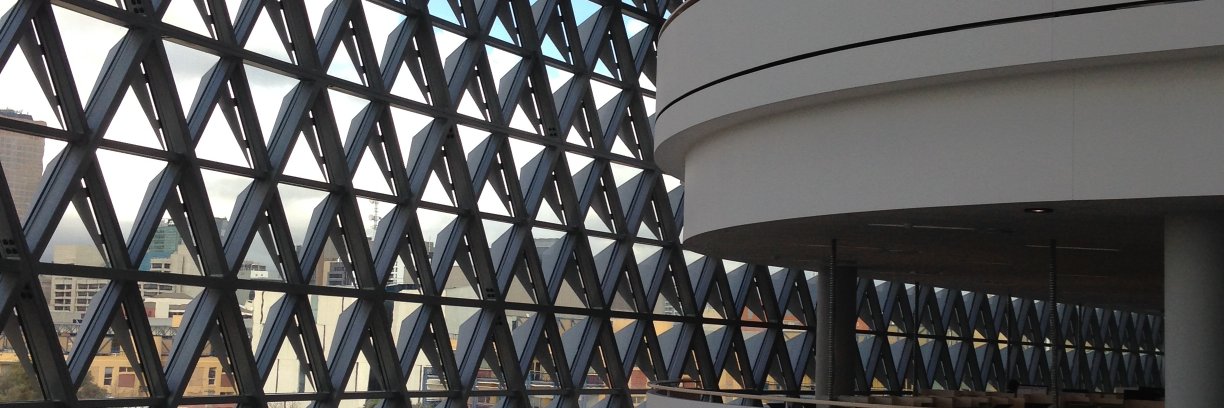 Prof Deb White banner