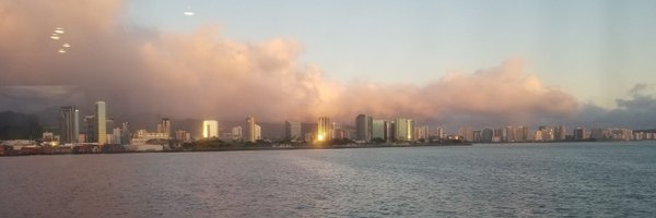 double_fox79 Profile Banner