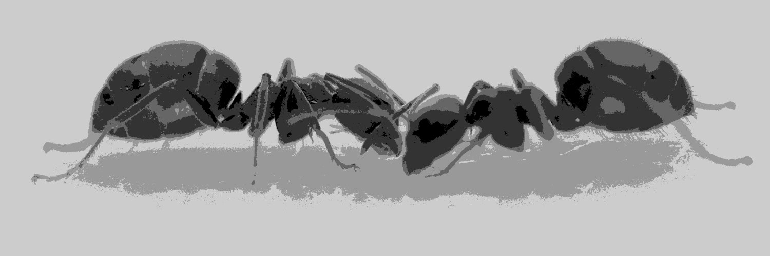 Volker Nehring banner