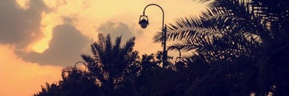 77_mne's profile banner image