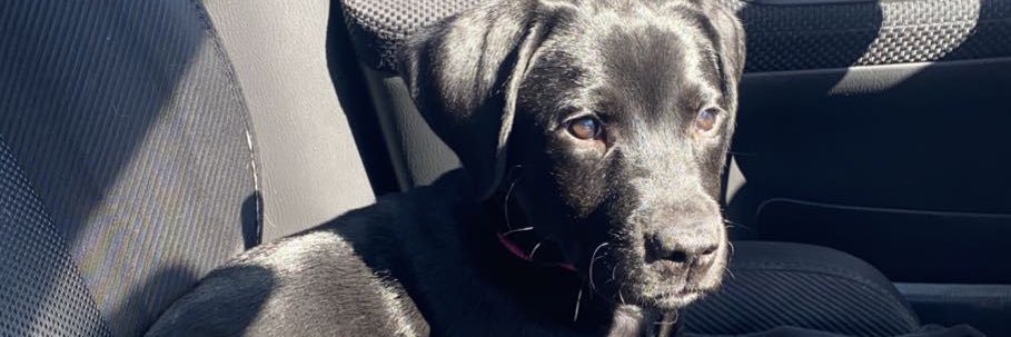 JanelleLeader's profile banner image