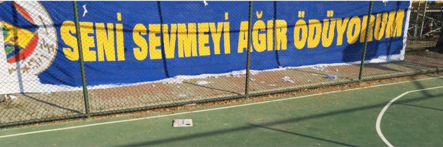 ynsemreserdar's profile banner image