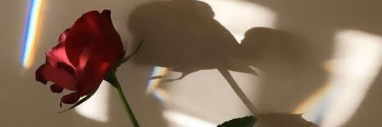jeanjermhlm's profile banner image