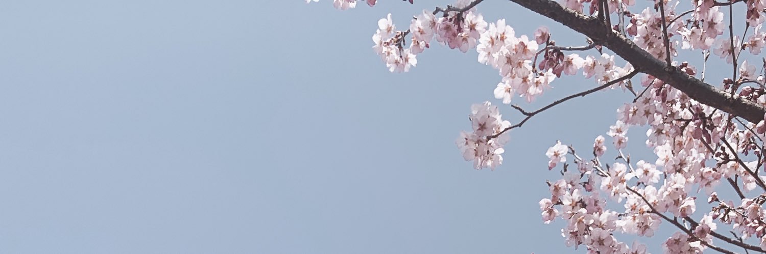 yukko00801's profile banner image