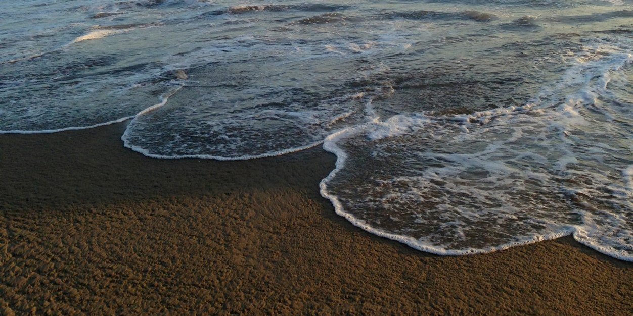 Amber Rochelle banner