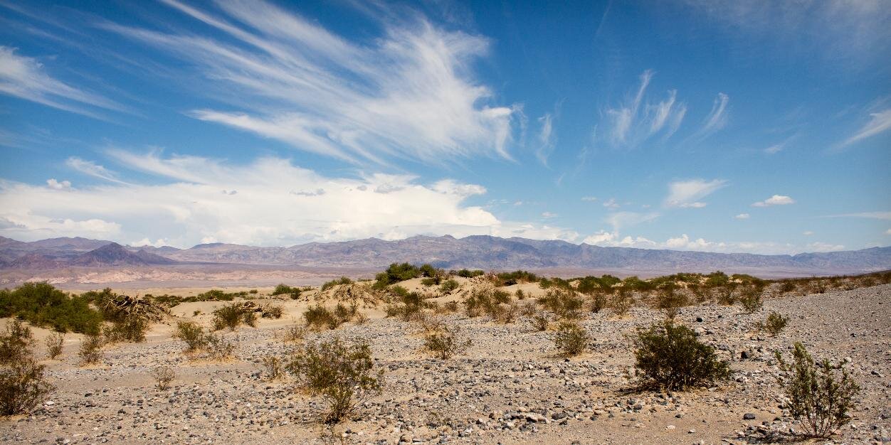 nschurando's profile banner image