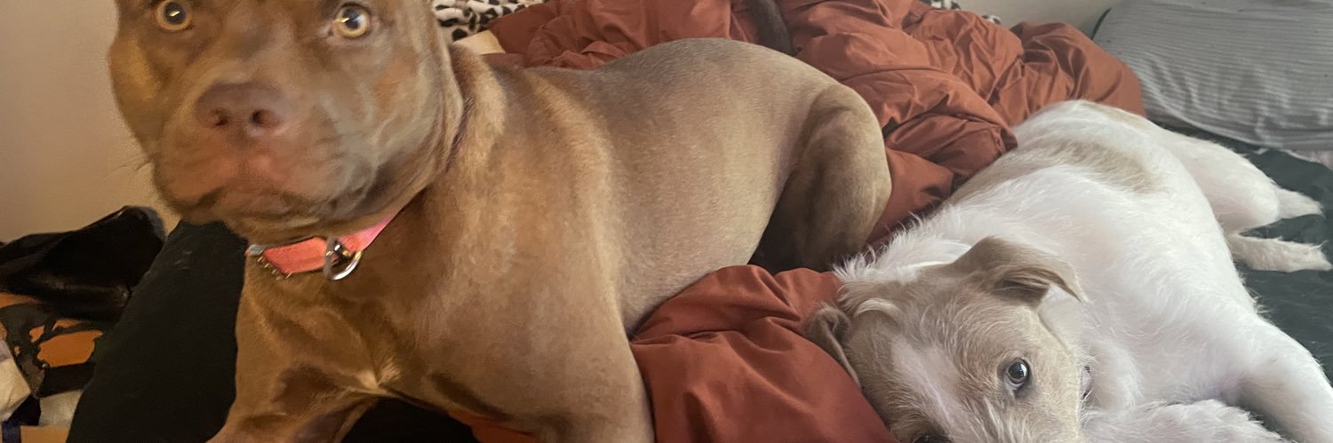 Lexual❤️‍🔥 banner