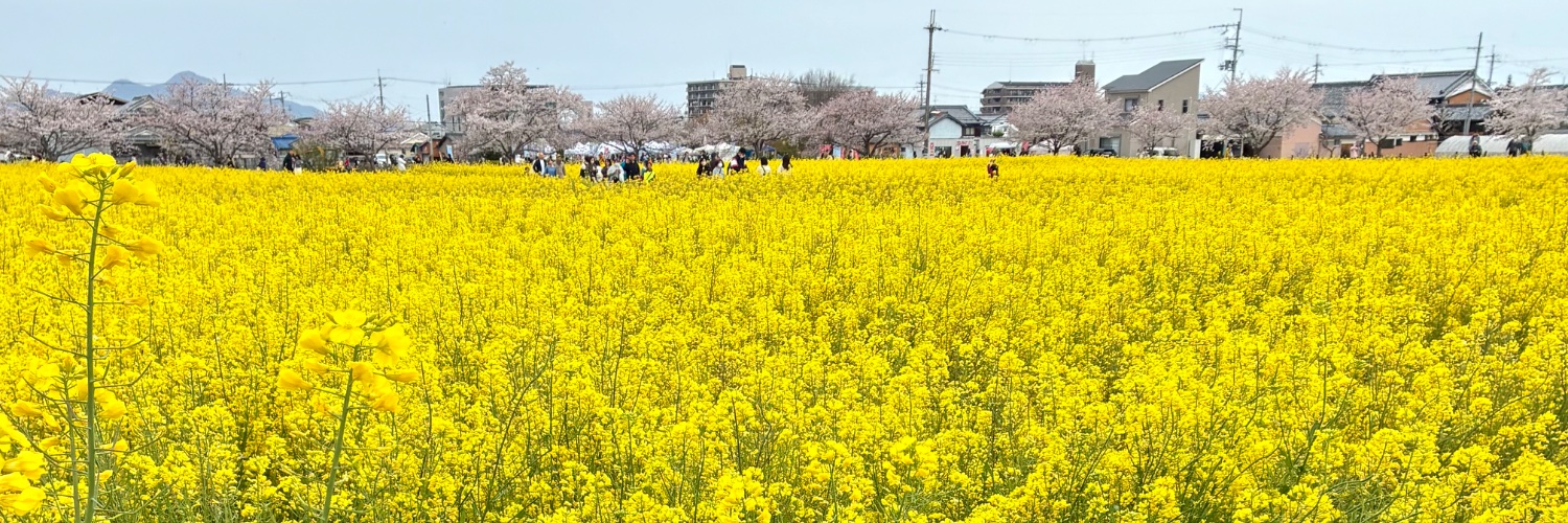 nahoko0711's profile banner image