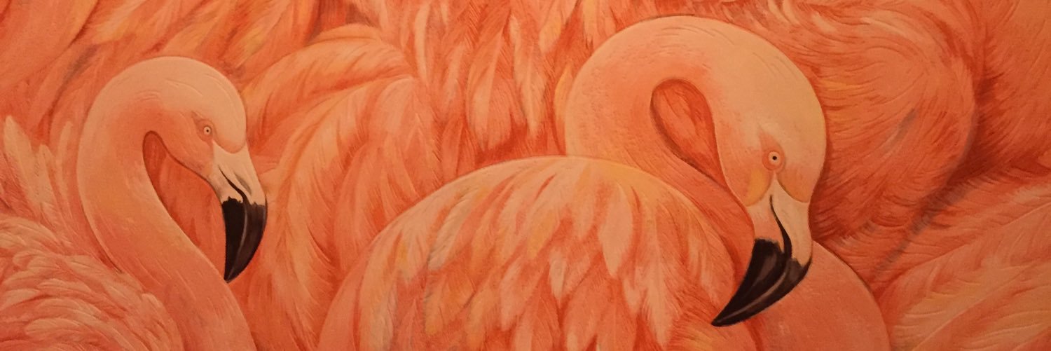 rulaoftheworld's profile banner image
