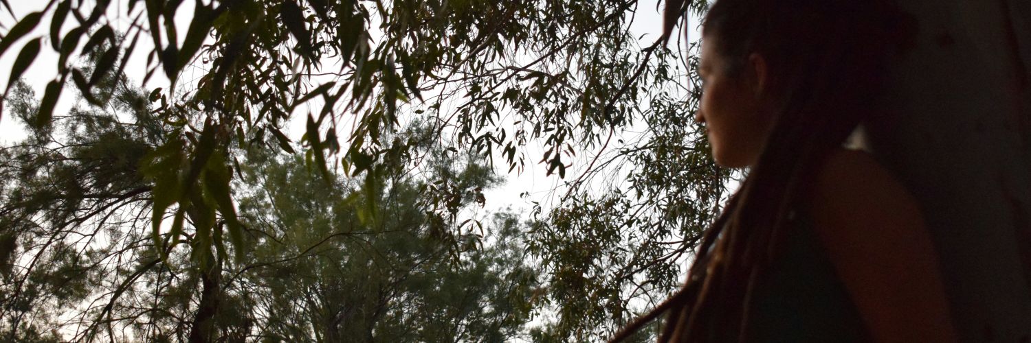 NireSplash's profile banner image