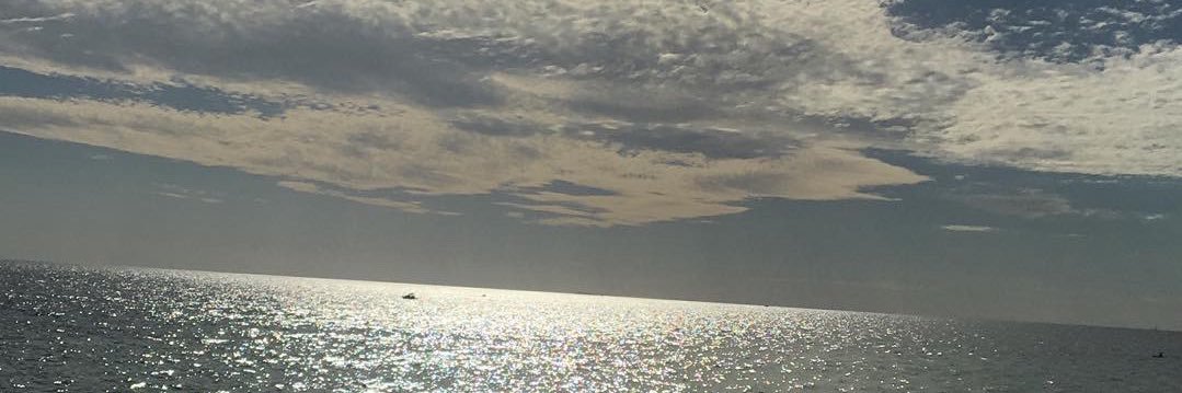 EianDavis's profile banner image