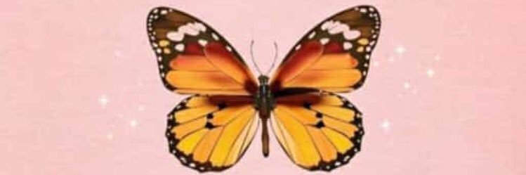 mayra_guima's profile banner image