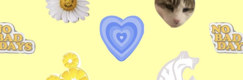 StephSNicole's profile banner image
