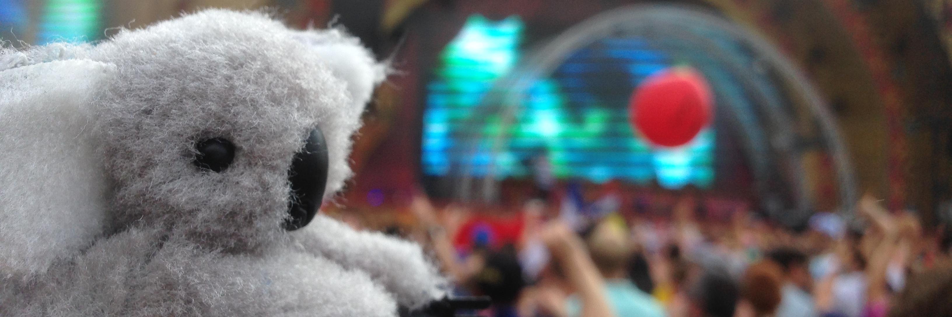 KoalaHeldens's profile banner image