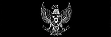 aviothff's profile banner image