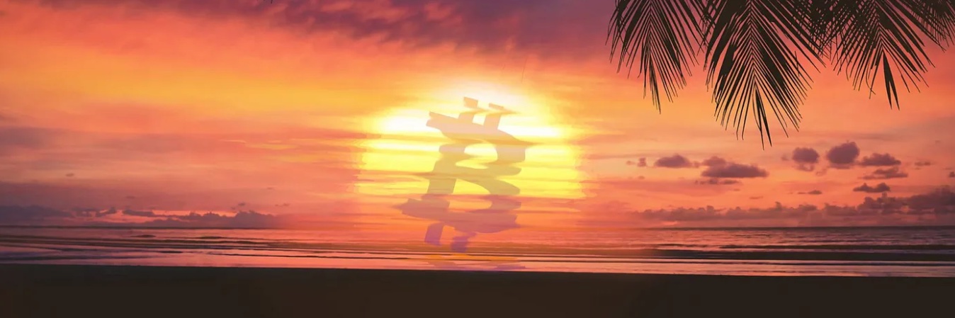 johnwege banner