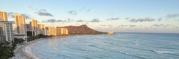 mrkusunoki Profile Banner