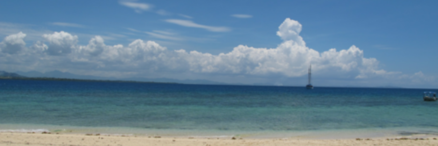 RayanneDy's profile banner image