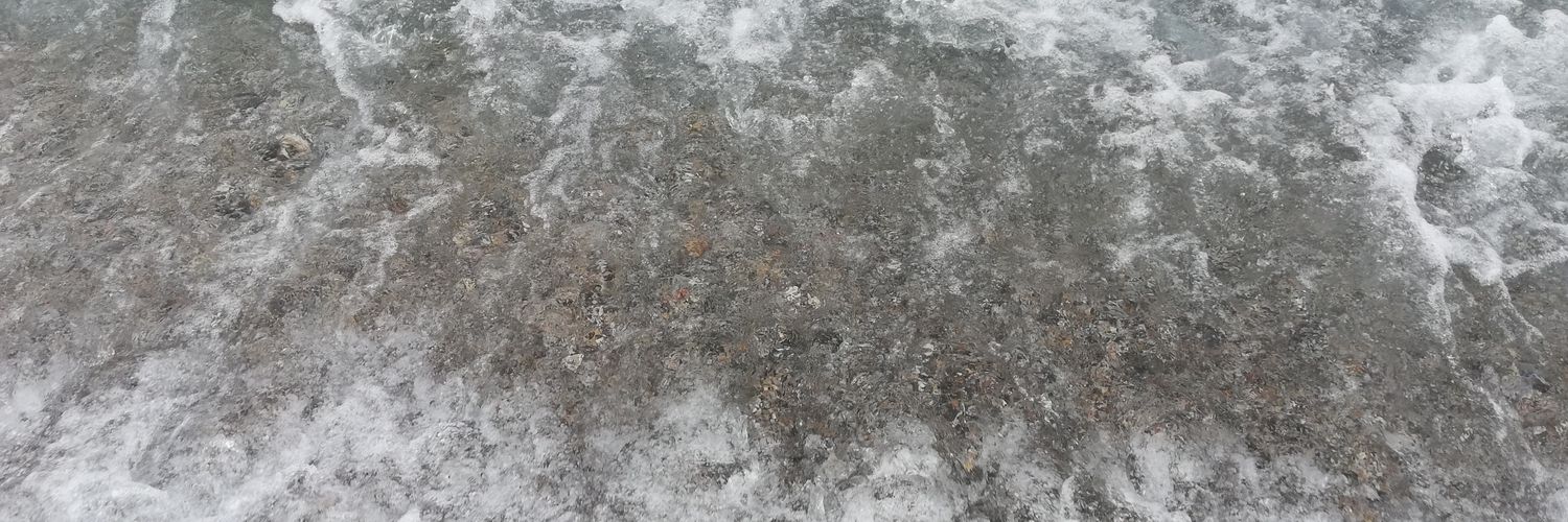 María Andrade banner