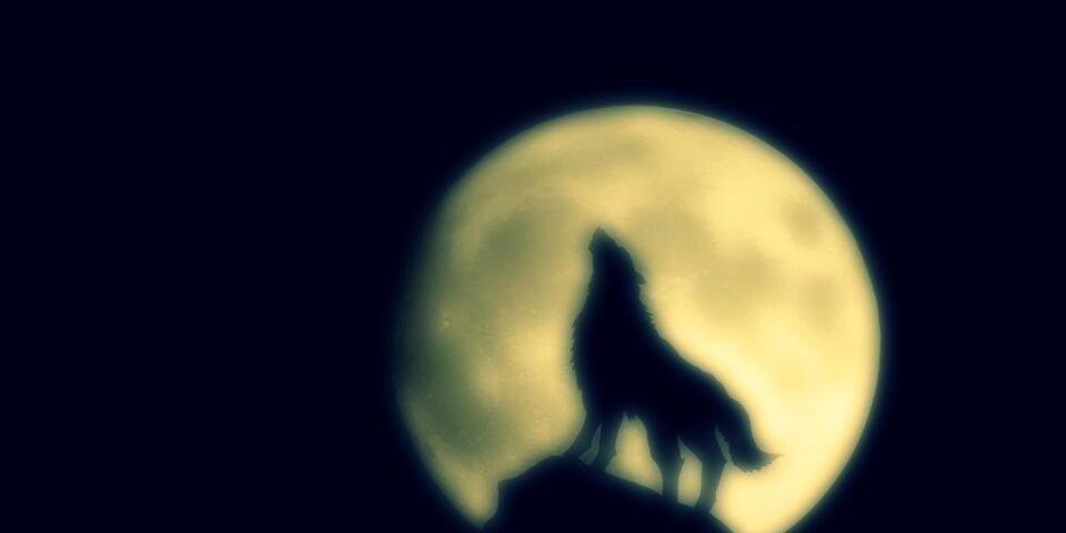 ______Ke6's profile banner image