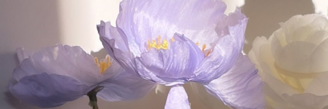 _aisyahlim's profile banner image