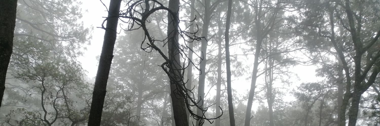 efrastt's profile banner image