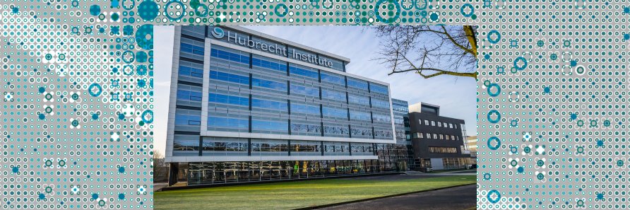 Hubrecht Institute's banner