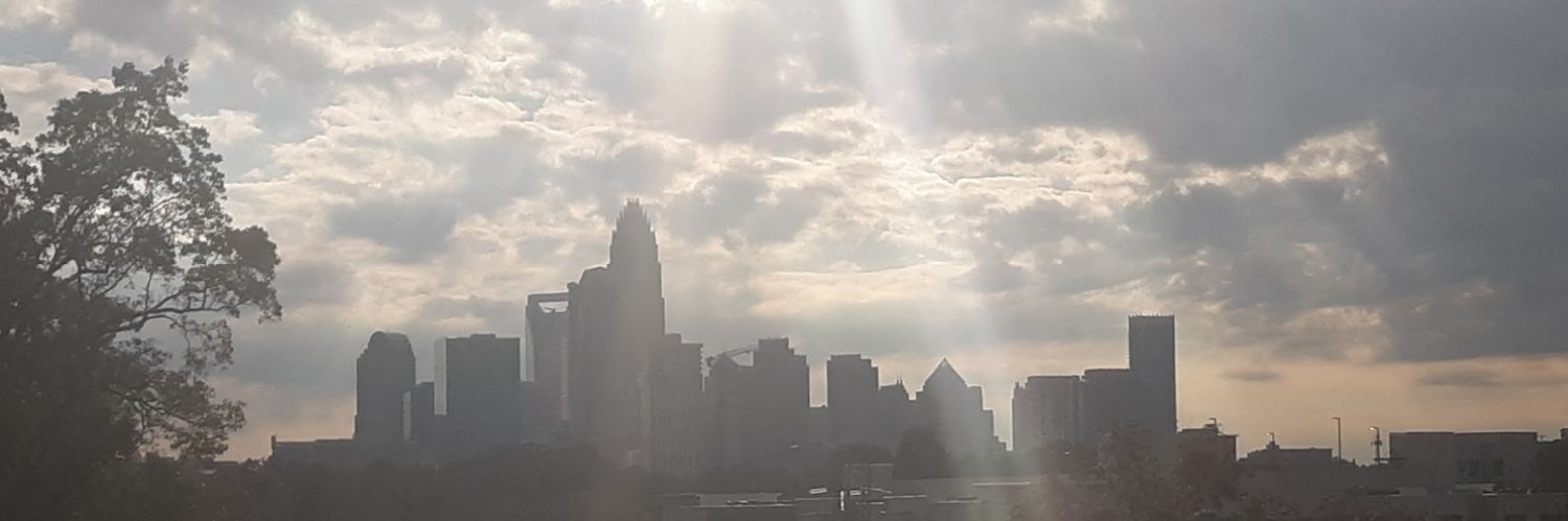 Charlotte Strong banner