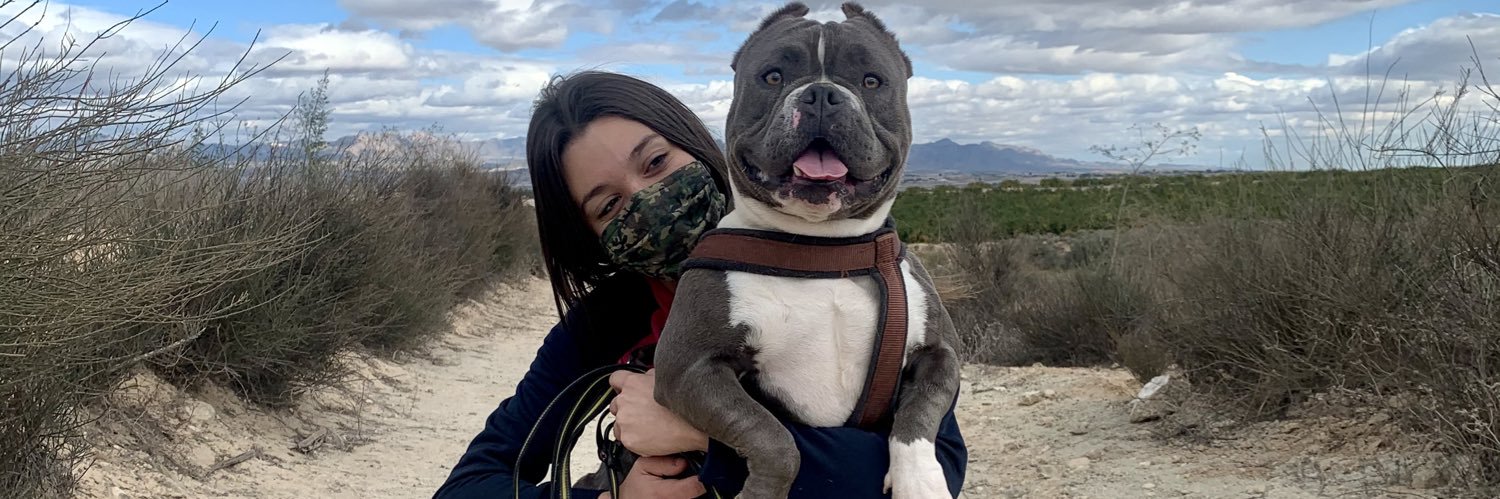 MariaMorenilla's profile banner image