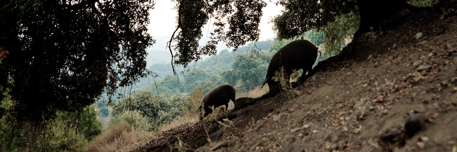 DEHESA MONTEROS banner