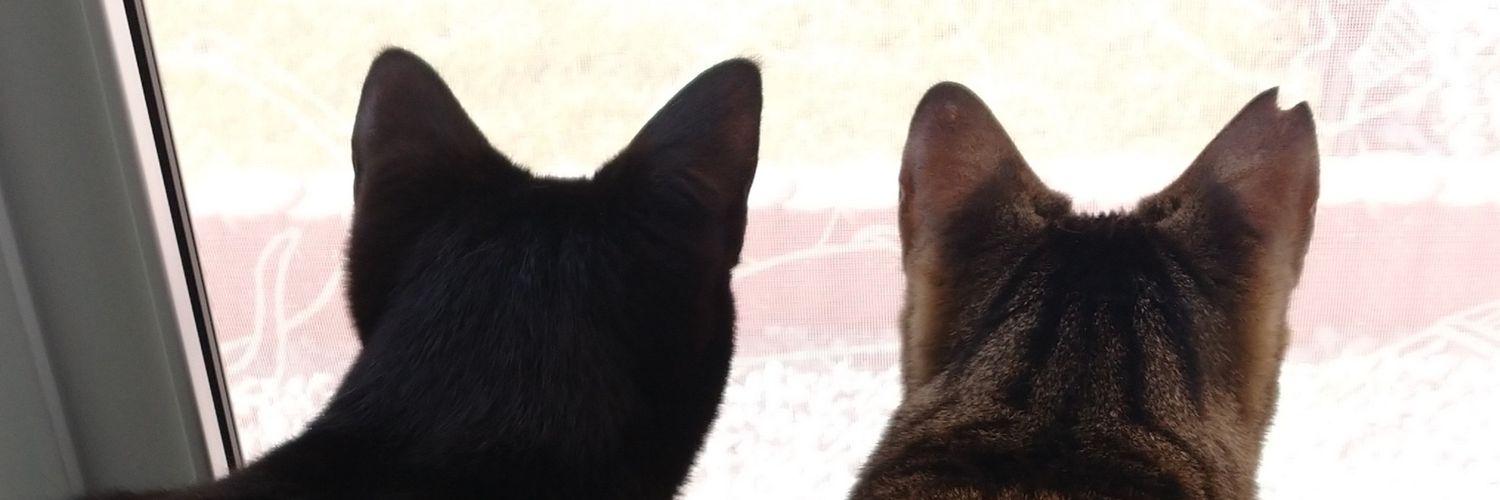 jinke_con's profile banner image