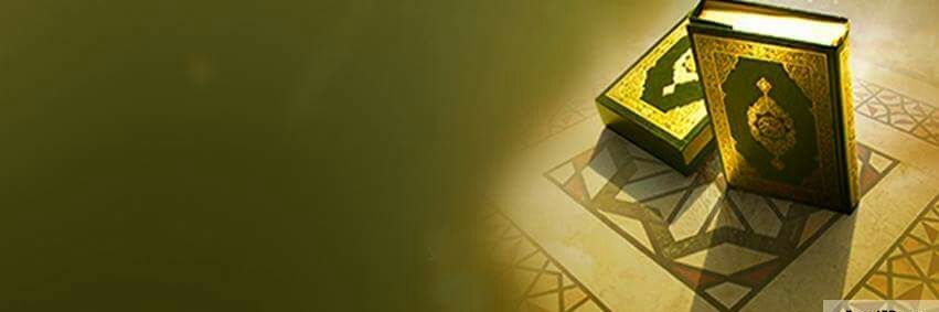 mshrabash's profile banner image
