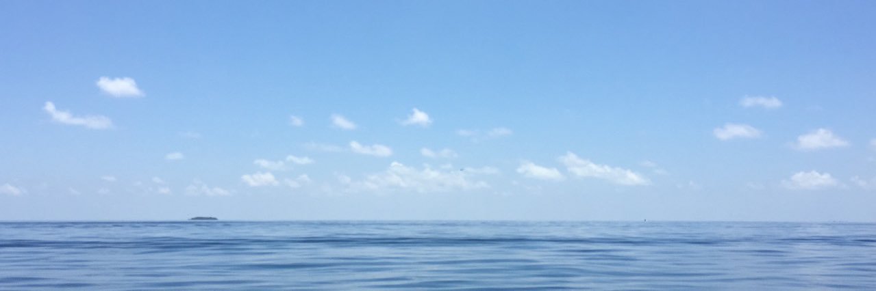 daftlol's profile banner image