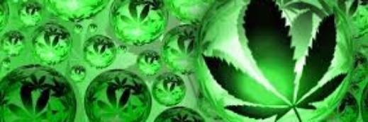 Amendment420 banner