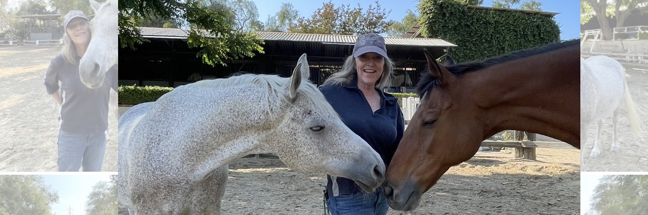 Tanya Dickson banner