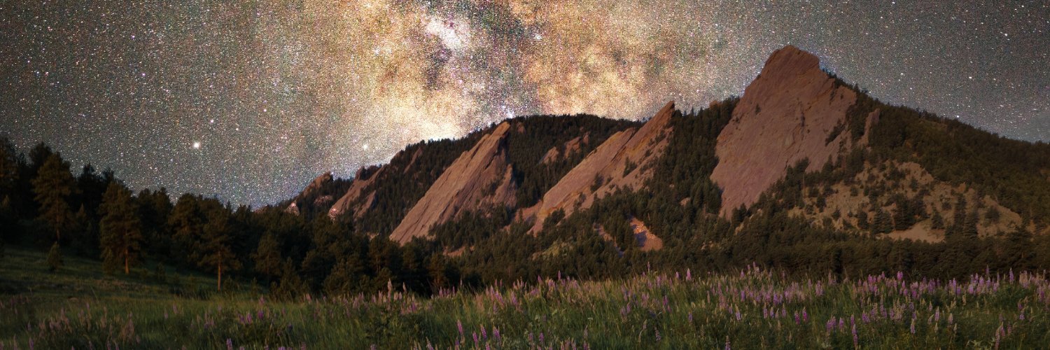 Rob Dickinson banner