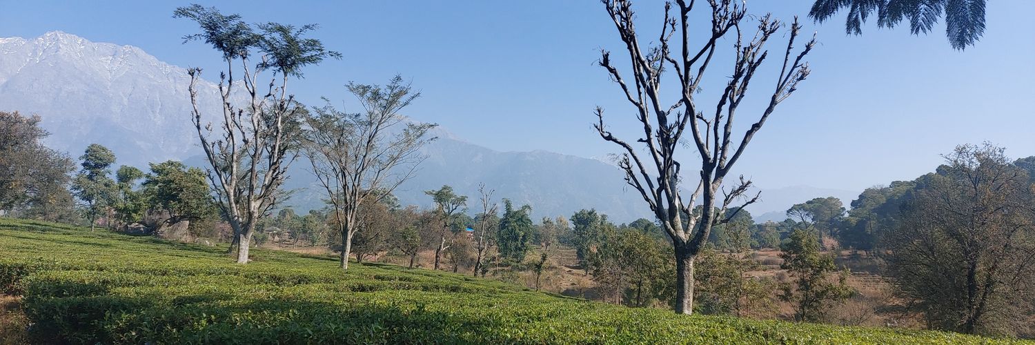 arvind1101's profile banner image