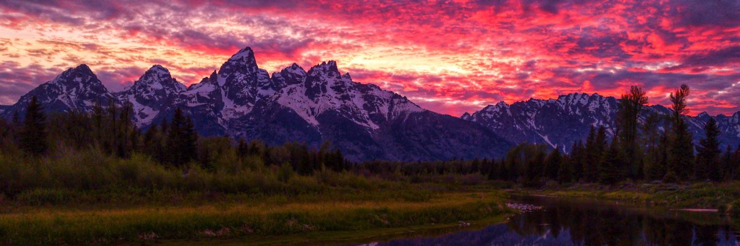 The Unholy One banner