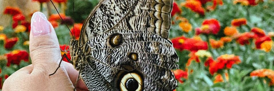 nabilabla's profile banner image