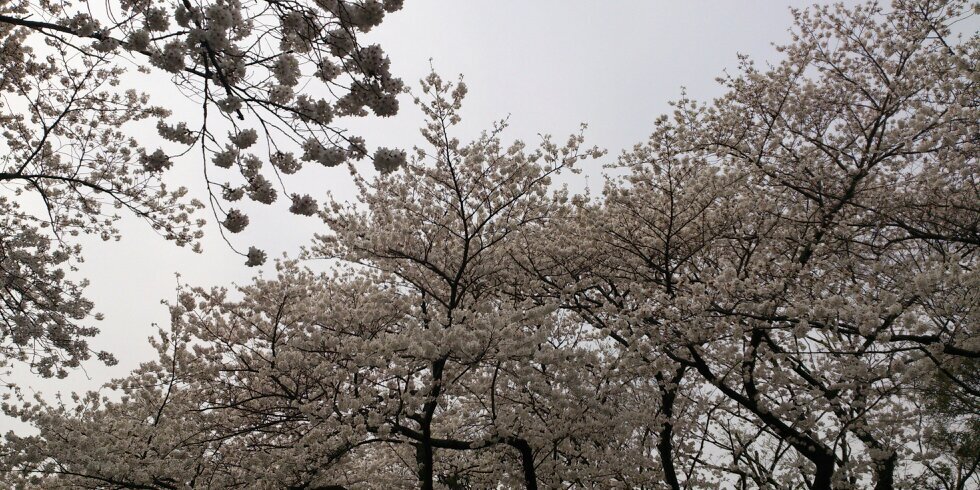 msktsoda's profile banner image
