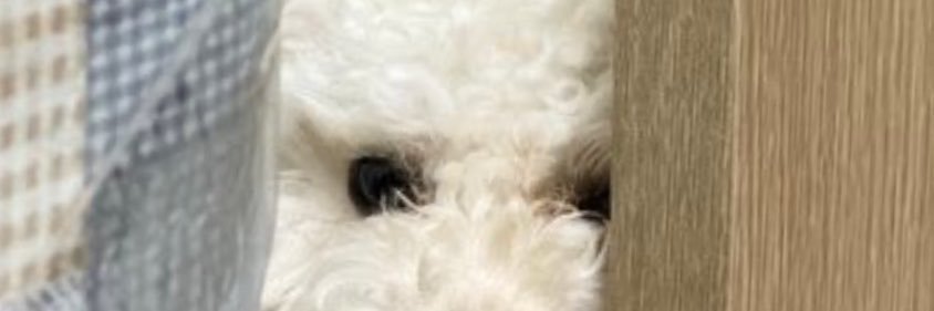 GGANG444's profile banner image