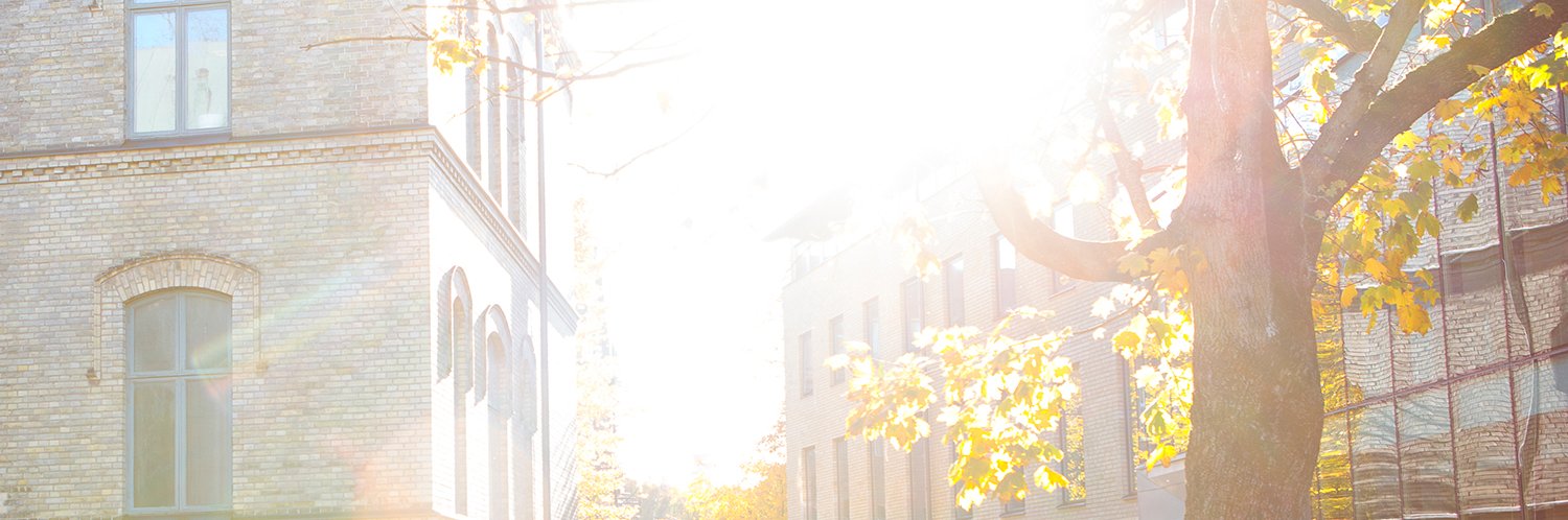 Statsvetenskap Lund banner