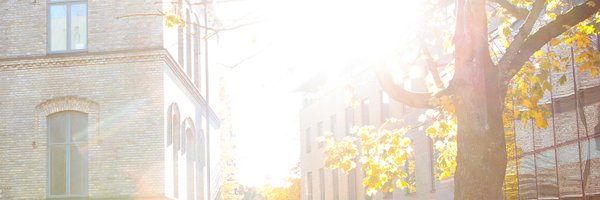 pol_LU Profile Banner