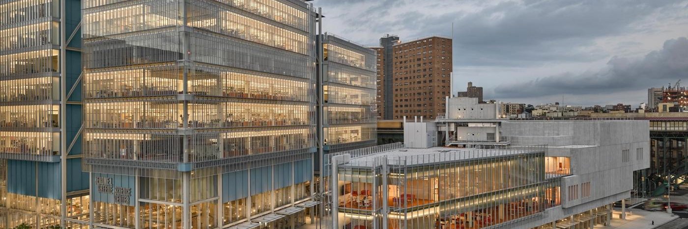 Nikolaus Kriegeskorte banner