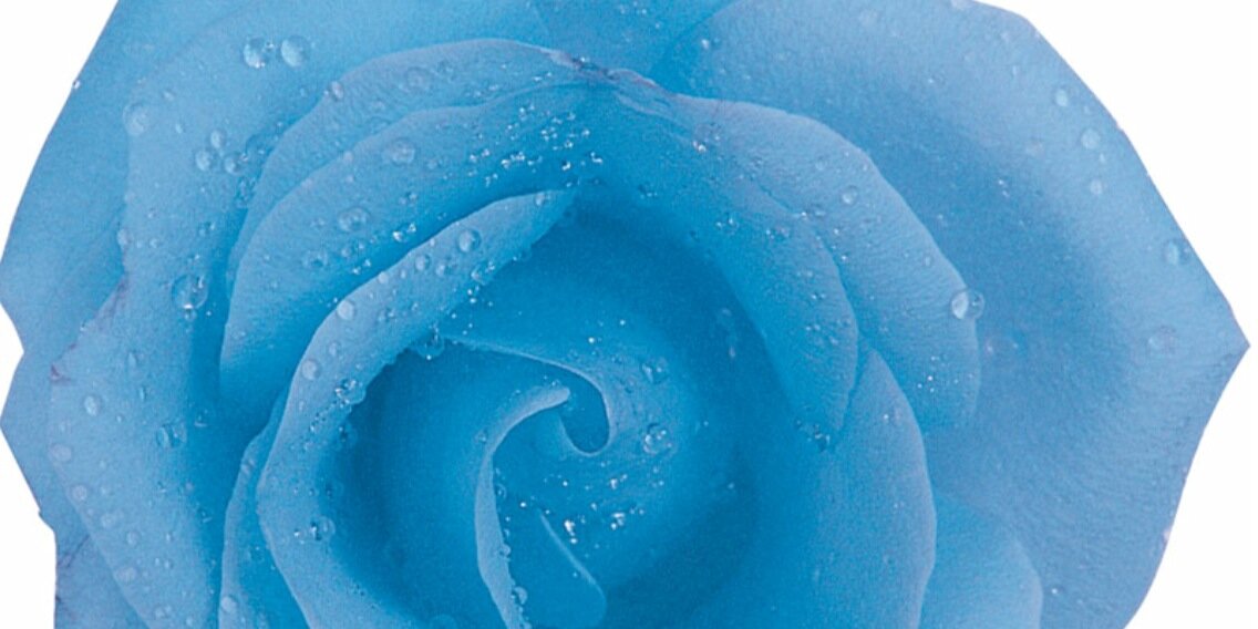 akoirc1's profile banner image