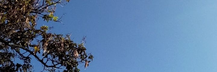 xslp11_'s profile banner image
