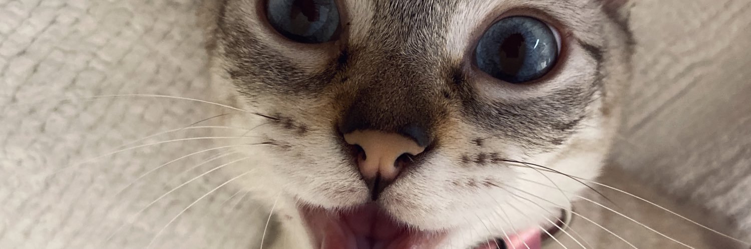 vmlipps's profile banner image
