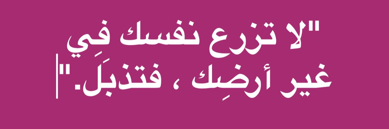 saadabohadeel's profile banner image
