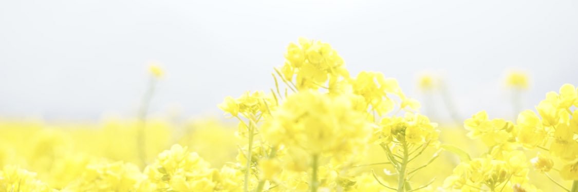 himitunoree's profile banner image
